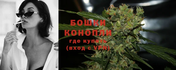 гидра Костерёво