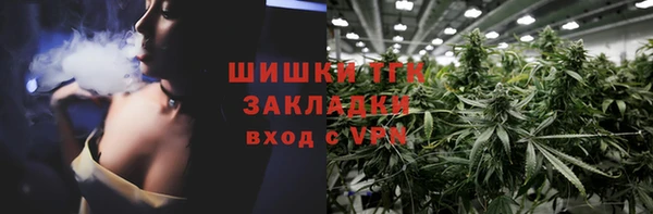 индика Козловка