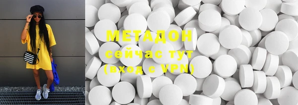 индика Козловка