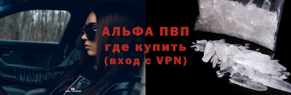 индика Козловка