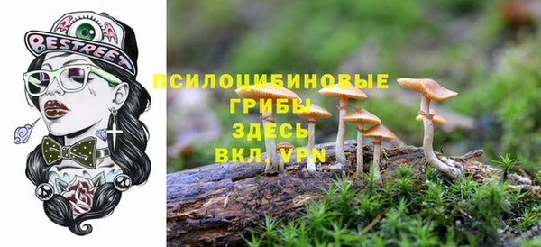 гидра Костерёво