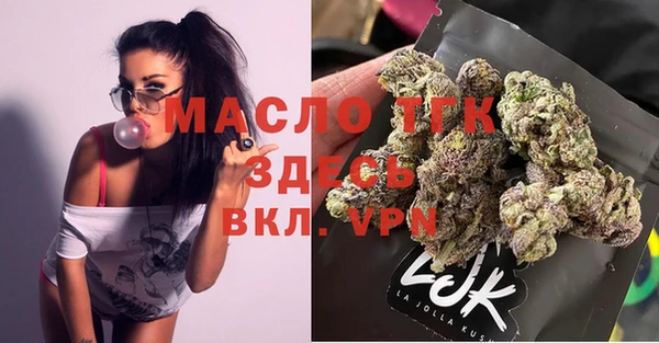 индика Козловка