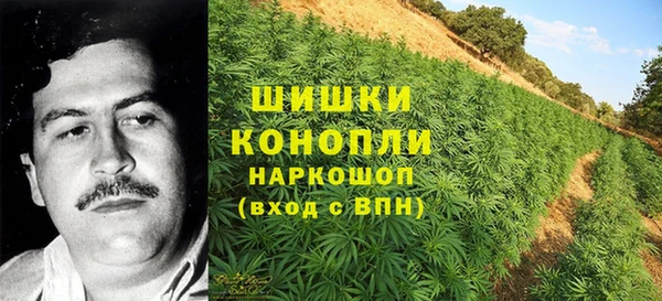герыч Козельск