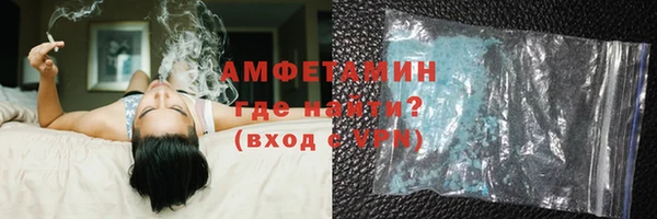индика Козловка