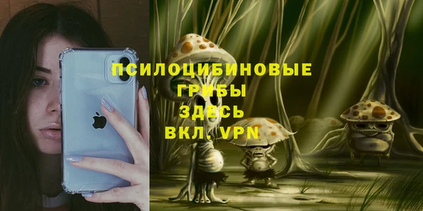 гидра Костерёво