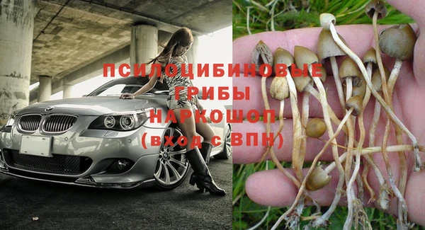 молекула духа Коряжма