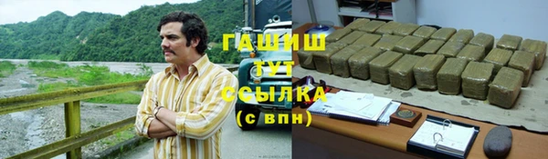 индика Козловка