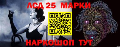 СК Абакан