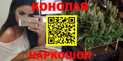 индика Абинск