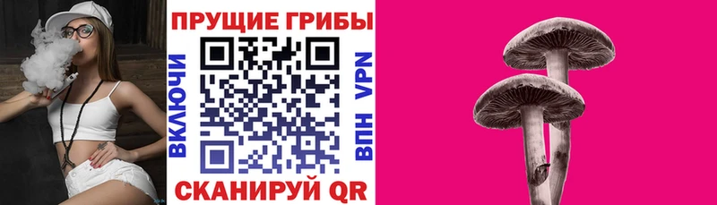 Псилоцибиновые грибы Psilocybe продажа наркотиков kraken зеркало Ангарск