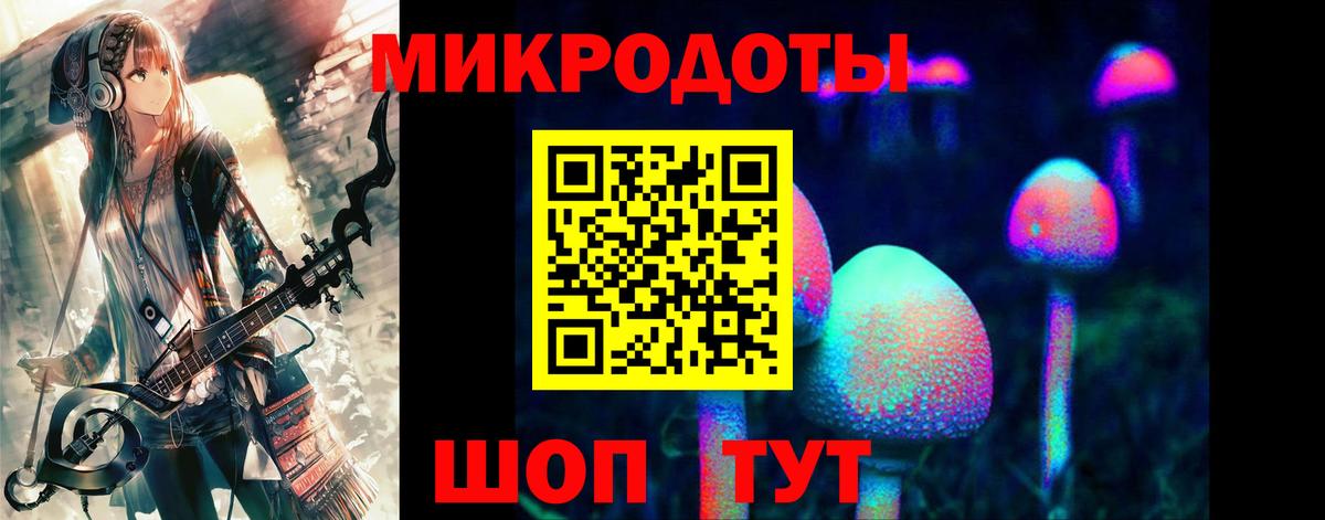 Ангарск  Галлюциногенные грибы Psilocybine cubensis  даркнет сайт  Вход с VPN 